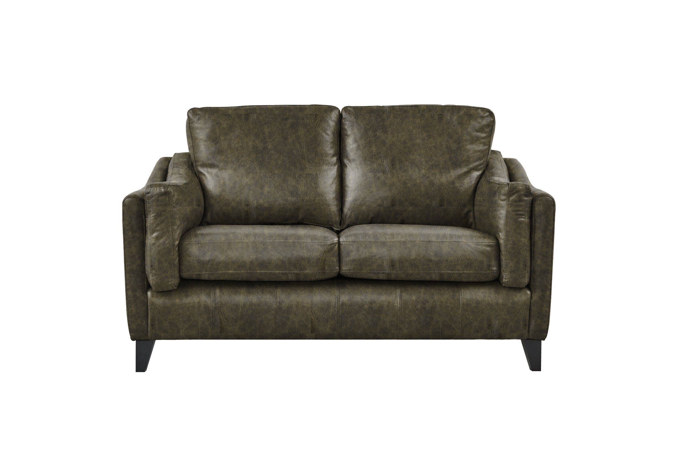 Hudson | 2 Seater Sofa | Vintage Green