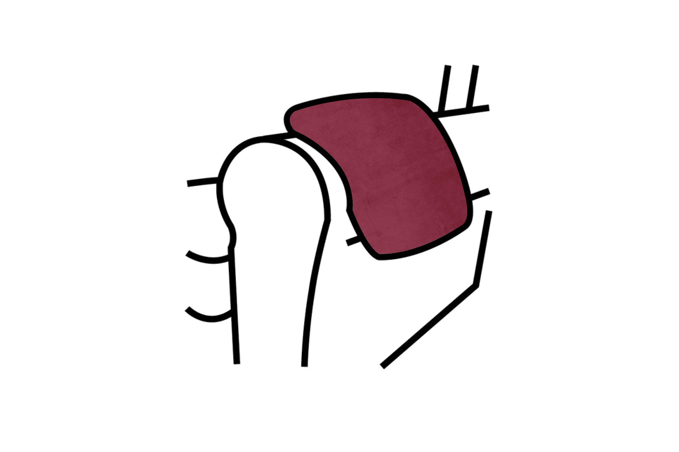 Woburn | Armpads (pair) | Opulence Shiraz